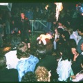 Bogart_gemischt009_1.jpg