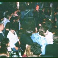 Bogart_gemischt044_1.jpg