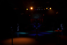 bogartparty 2013 003.jpg